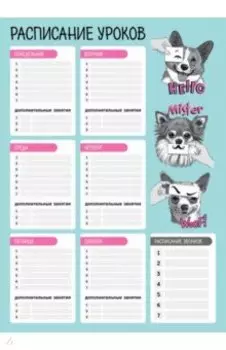 Расписание уроков Весёлые мордочки, А3