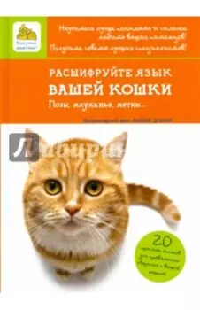 Расшифруйте язык вашей кошки. Позы, мяуканье, метки...
