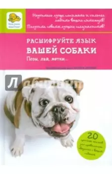 Расшифруйте язык вашей собаки