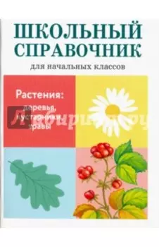 Растения. Деревья, кустарники, травы