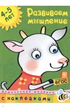 Развиваем мышление. 4-5 лет. ФГОС