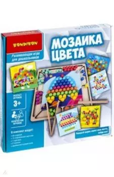 Развивающие игры из дерева "Мозаика цвета" (В4866)