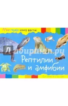 Рептилии и амфибии