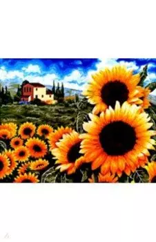 Рисование по номерам 40х50 см "Подсолнухи" (B077)