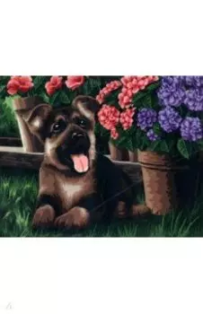 Рисование по номерам Маленький друг