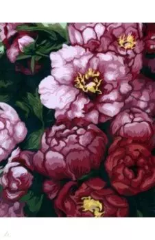 Рисование по номерам Свежие бутоны