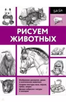 Рисуем животных