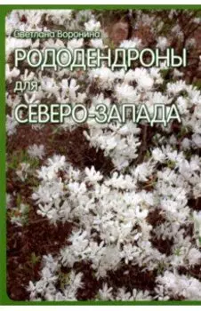Рододендроны для Северо-Запада