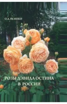 Розы Дэвида Остина в России