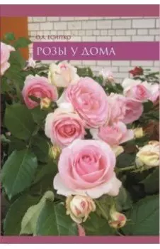 Розы у дома