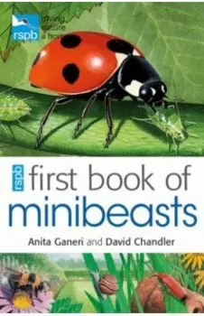 RSPB First Book Of Minibeasts