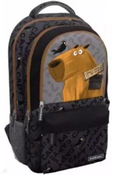 Рюкзак с 3 отделениями Happy Capy