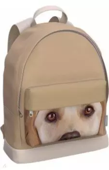 Рюкзак с отделением для ноутбука Beige Dog