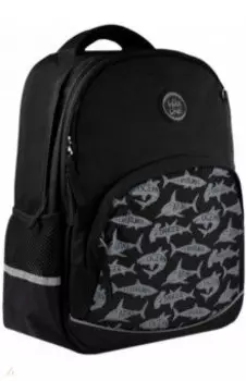 Рюкзак школьный "Акулы" (2 отделения) (52059)