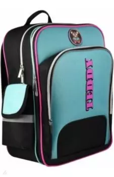 Рюкзак школьный Мишка Тедди