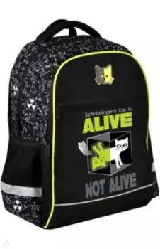 Рюкзак школьный Научный кот