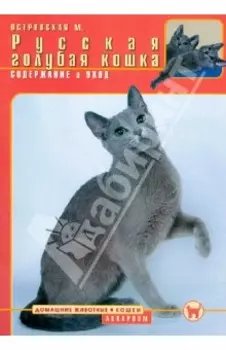 Русская голубая кошка. Содержание и уход