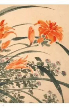 Садовые цветы. Лилейник, 32 листа