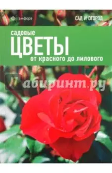 Садовые цветы. От красного до лилового