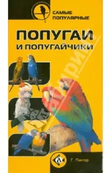 Самые популярные попугаи и попугайчики