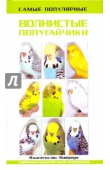 Самые популярные волнистые попугайчики