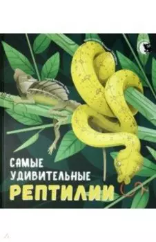 Самые удивительные рептилии