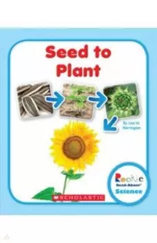 Seed to Plant