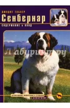 Сенбернар. Содержание и уход