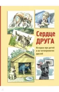 Сердце друга