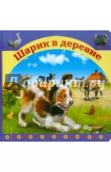 Шарик в деревне