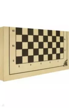 Шашки международные (стоклеточные) (ИН-8283)