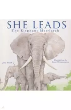 She Leads. The Elephant Matriarch