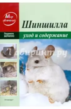Шиншилла. Уход и содержание в домашних условиях