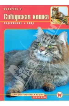 Сибирская кошка. Содержание и уход