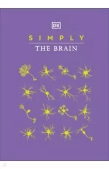 Simply The Brain