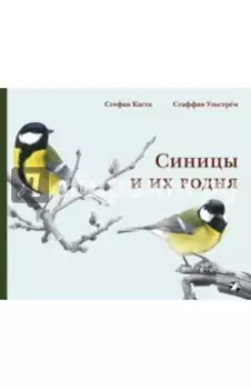 Синицы и их родня