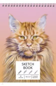 Скетчбук Мейн-кун, 40 листов