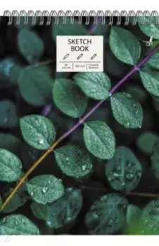 Скетчбук Микромир, 60 листов, А4