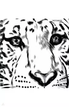 Скетчбук Тигр, 80 листов