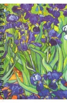 Скетчбук Ван Гог, Ирисы, 100 листов, А5