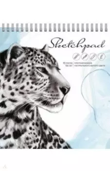 Скетчпад Леопард, 80 листов, 15,5*18