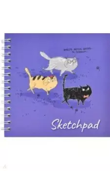 Скетчпад Отважные котики, 80 листов