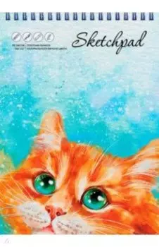 Скетчпад Рыжик, 60 листов, А5
