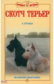 Скотч терьер. Маленький джентльмен