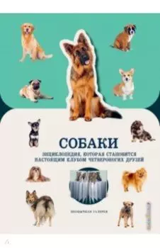 Собаки