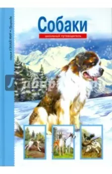 Собаки