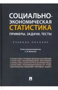 Социально-экономическая статистика. Примеры, задачи, тесты. Учебное пособие