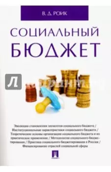 Социальный бюджет. Монография