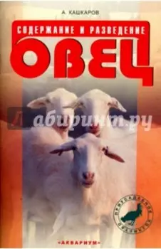 Содержание и разведение овец