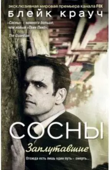 Сосны. Заплутавшие